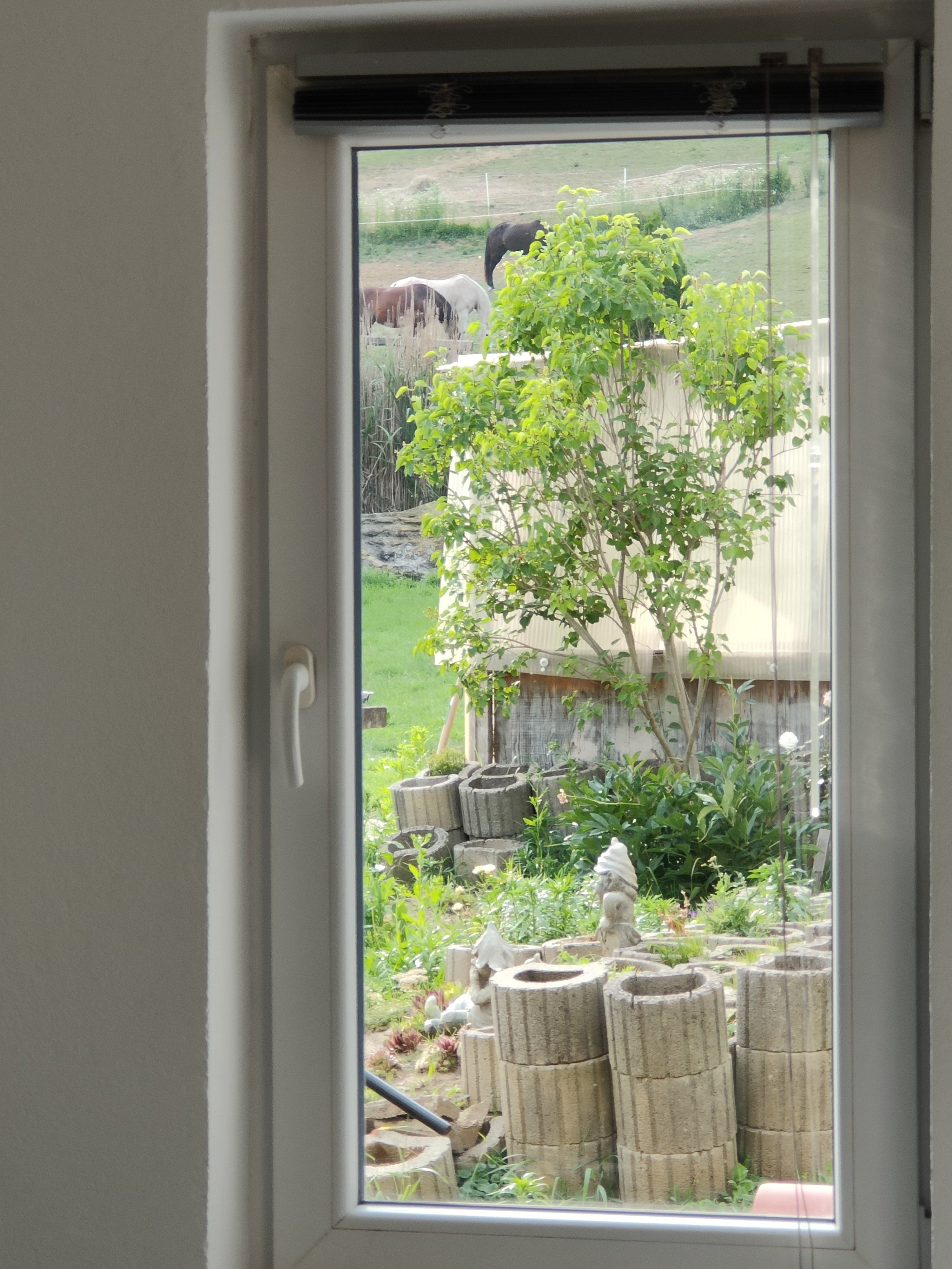 MonteurZimmer: Ausblick in den Garten - Ferienwohnung Landliebe