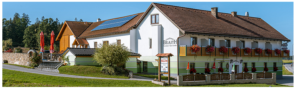 Monteur-Zimmer - Senftenberg (Senftenberg) - Gasthaus-Pension Zur Linde