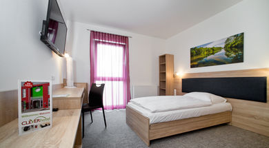 Monteur-Zimmer - Zimmerarten: Einzelzimmer - Senftenberg (Senftenberg) - Cleverhotel
