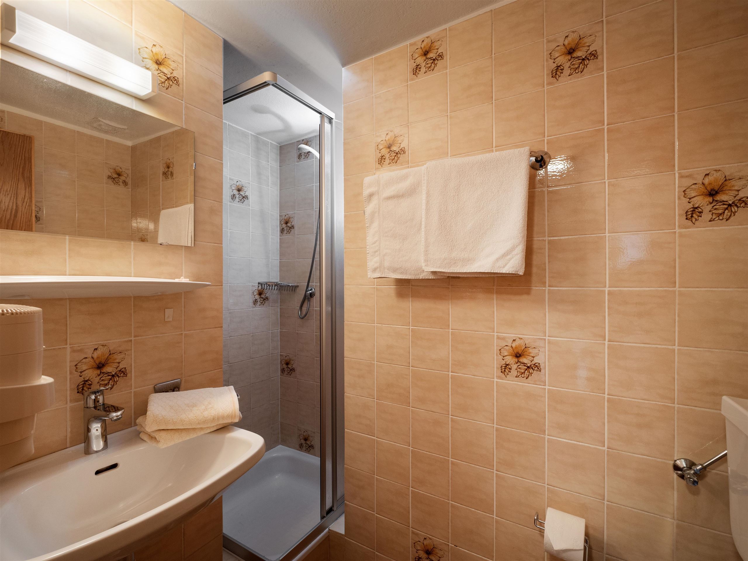 Monteur-Zimmer - Uttendorf (Uttendorf) - Apartment - Pension Schmiedererhof