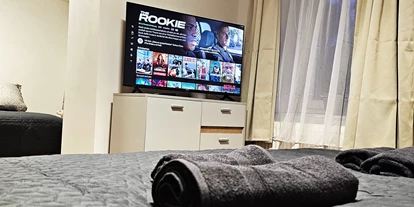 Monteur-Zimmer - Zahlungsarten: Vorauskasse - Österreich - revLIVING Apartments Gars am Kamp