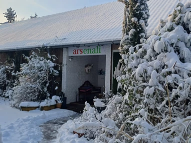 MonteurZimmer: Haus im Grünen