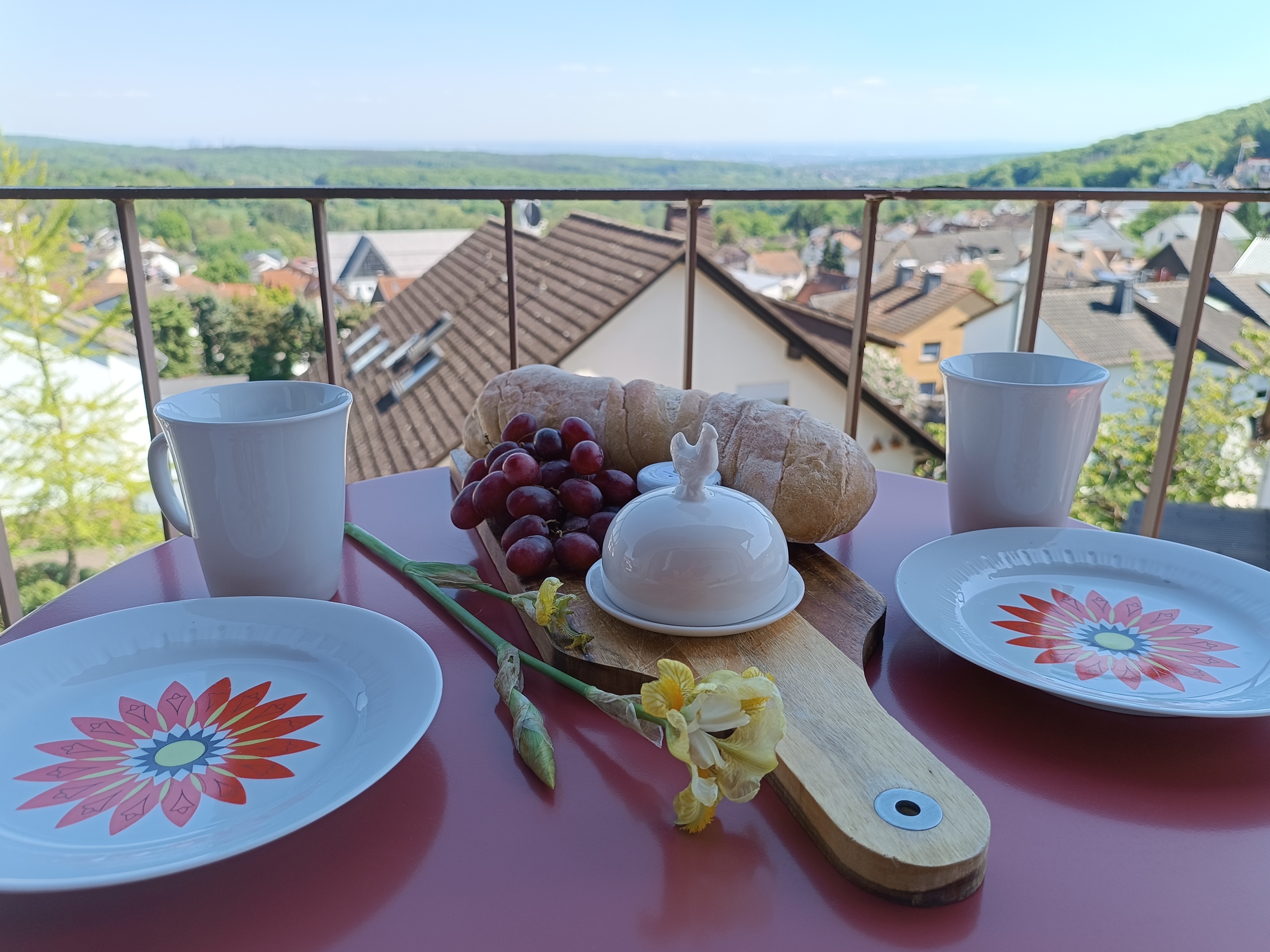 MonteurZimmer: Balkon - Ferienwohnung Tante Mimi, Kelkheim