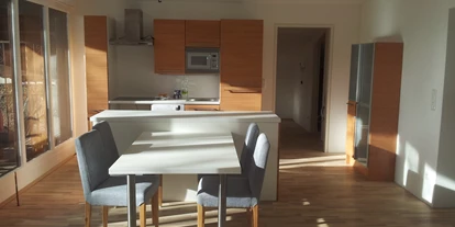 Monteur-Zimmer - Küche - Österreich - Traunapartment