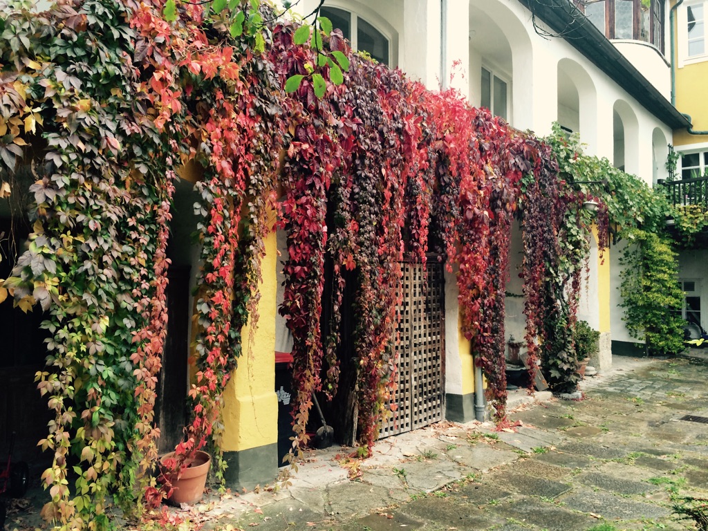 MonteurZimmer: Innenhof - KARL's Home