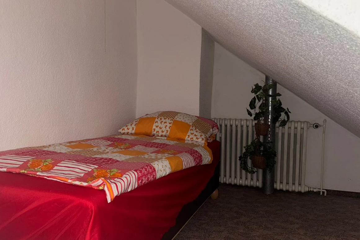 MonteurZimmer: kleiner Raum mit Liege - FeWo Bienchen