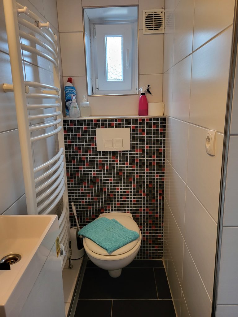 Monteur-Zimmer - Zimmerarten: Mehrbettzimmer - Ostsee - Ferienwohnung , kleines Duschbad - Gästehaus Harrislee