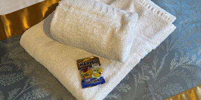 Monteur-Zimmer - Hirschaid - Handtücher inbegriffen - Fewo Naturblick