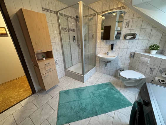MonteurZimmer: Dusche - Fewo Naturblick