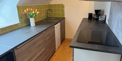 Monteur-Zimmer - Hirschaid - Küche - Fewo Naturblick