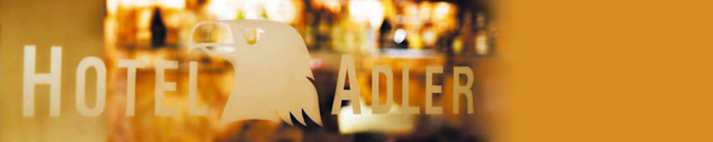 Monteur-Zimmer - Wehringen - Hotel Adler