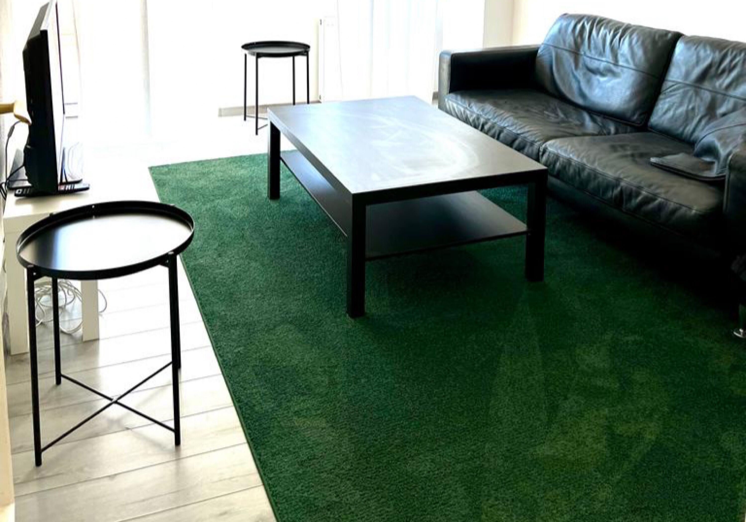 Monteur-Zimmer - Friedberg (Landkreis Aichach-Friedberg) - Das Löwenhaus