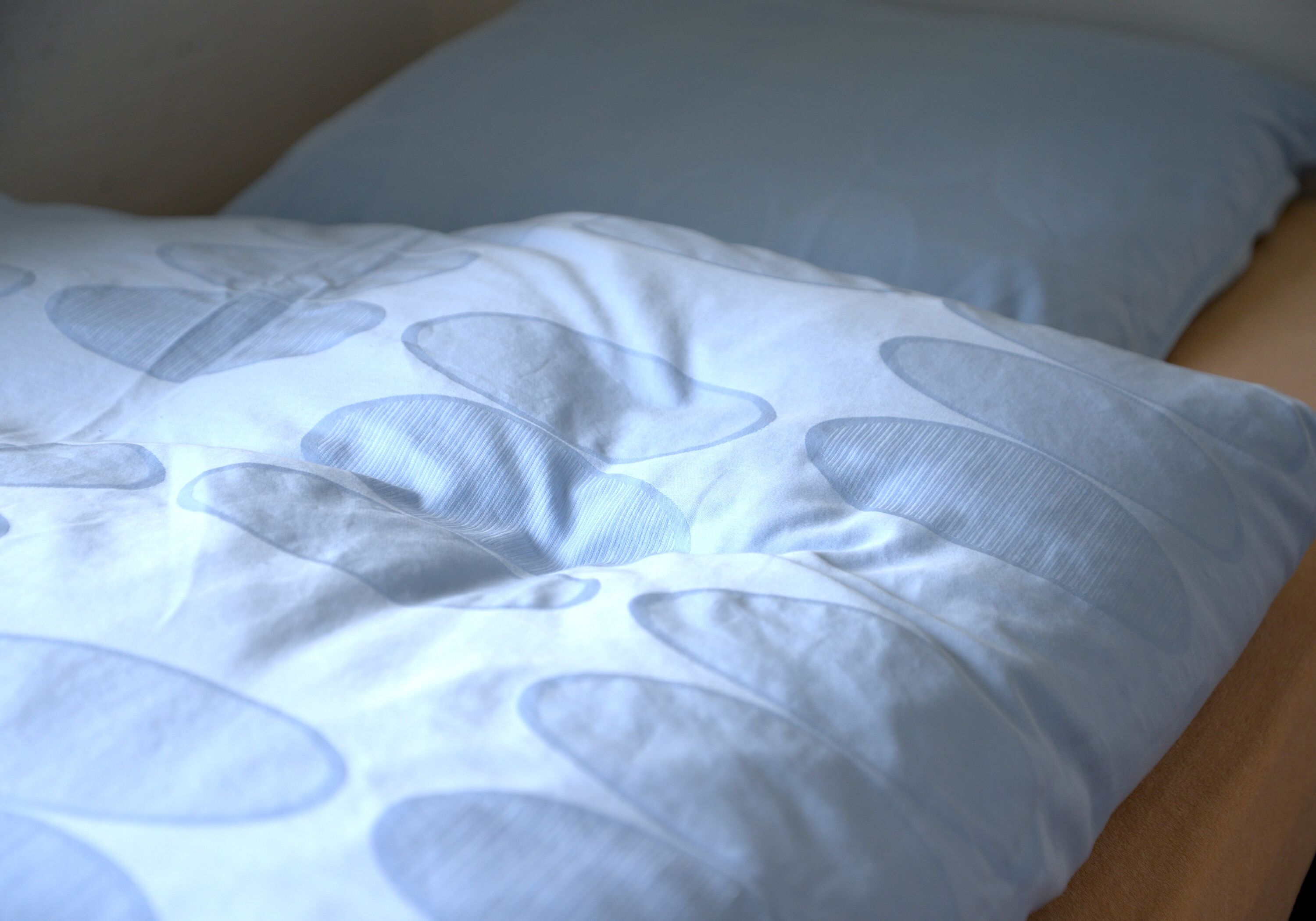 Monteur-Zimmer - Friedberg (Landkreis Aichach-Friedberg) - ZIMMERVERMIETUNG Nautilus *** AUGSBURG *** - NEU SANIERT -