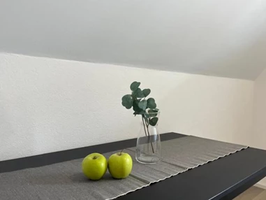 MonteurZimmer: RS Liegenschaften - Augsburg Lechhausen - Microapartment