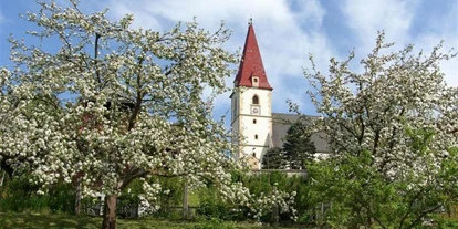 Monteur-Zimmer - Sankt Lorenzen im Mürztal - Pension Kirchleitn