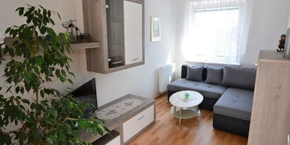 Monteur-Zimmer - Küche - Steiermark - Gombotz Ferienwohnung