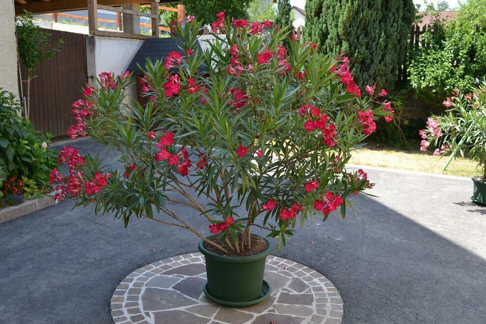 Monteur-Zimmer - Preis pro Nacht - Unterlamm (Unterlamm) - Gästehaus Weber