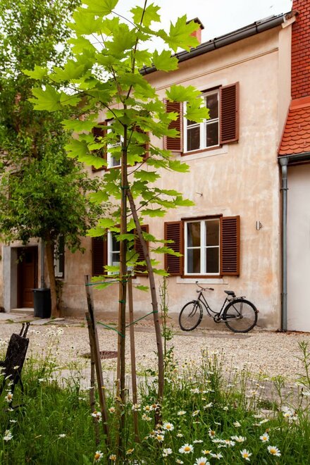 Monteur-Zimmer - Preis pro Nacht - Unterlamm (Unterlamm) - City Apartment