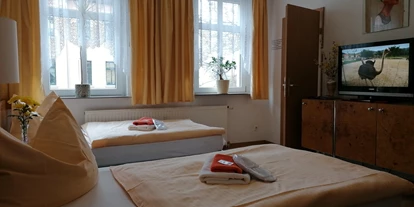 Monteur-Zimmer - Sachsen-Anhalt - Pension Alt Mockau