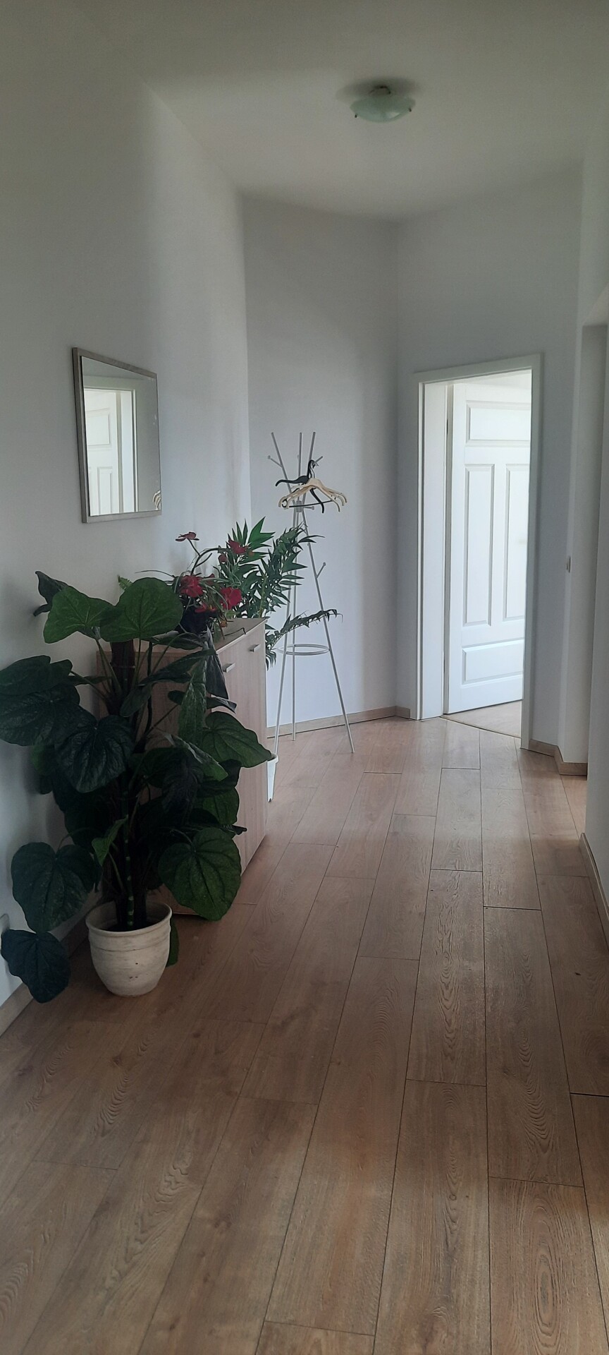 Monteur-Zimmer - Sachsen-Anhalt - https://www.deutschland-monteurzimmer.de/uploads/18595/172562166966dae5a595079.jpg - fairmieten-leipzig-- viele Wohnungen in Leipzig und Taucha ab 15 Euro in 04349 Leipzig