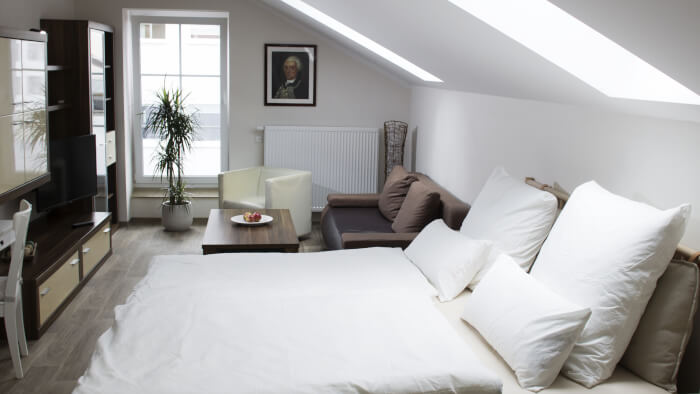 Monteur-Zimmer - Sachsen-Anhalt - Ringelnatz & Lichtwer- Ferienwohnungen in Wurzen in 04808 Wurzen