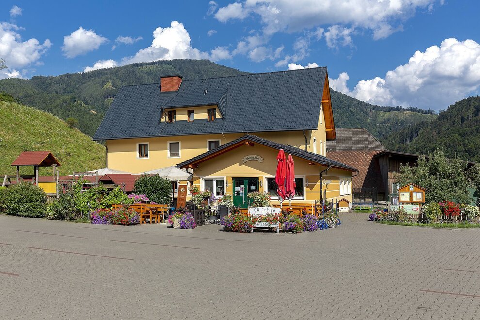 Monteur-Zimmer - Preis pro Nacht - Aflenz Kurort - Gasthaus Ebner