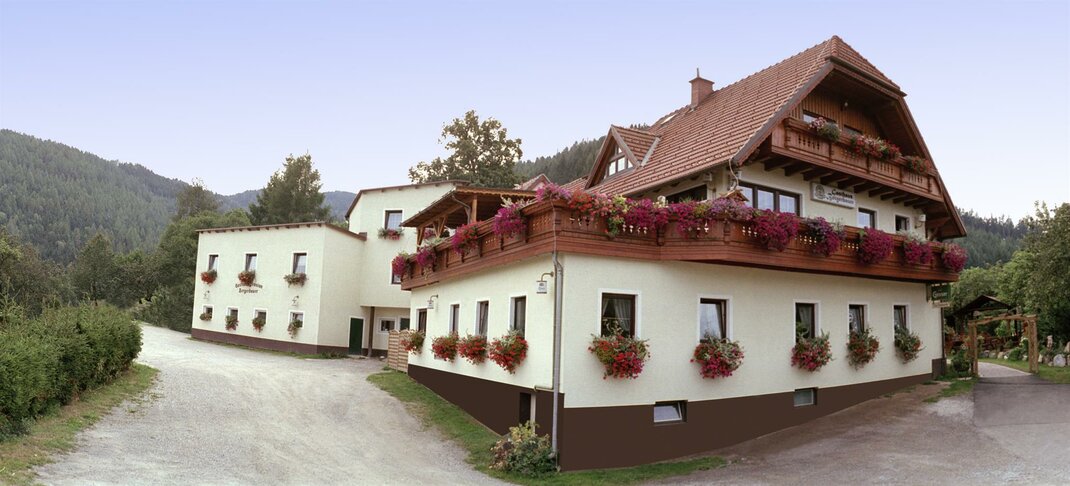 Monteur-Zimmer - Krieglach - Gasthof- Pension Bergbauer***