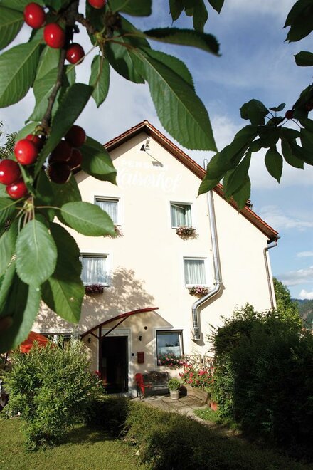 Monteur-Zimmer - Krieglach - Pension Kaiserhof