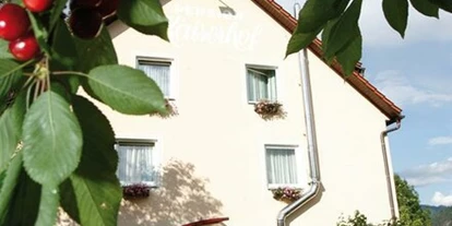 Monteur-Zimmer - Kraubath an der Mur - Pension Kaiserhof