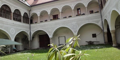 Monteur-Zimmer - Sattendorf - Schloss-Appartement Welzenegg