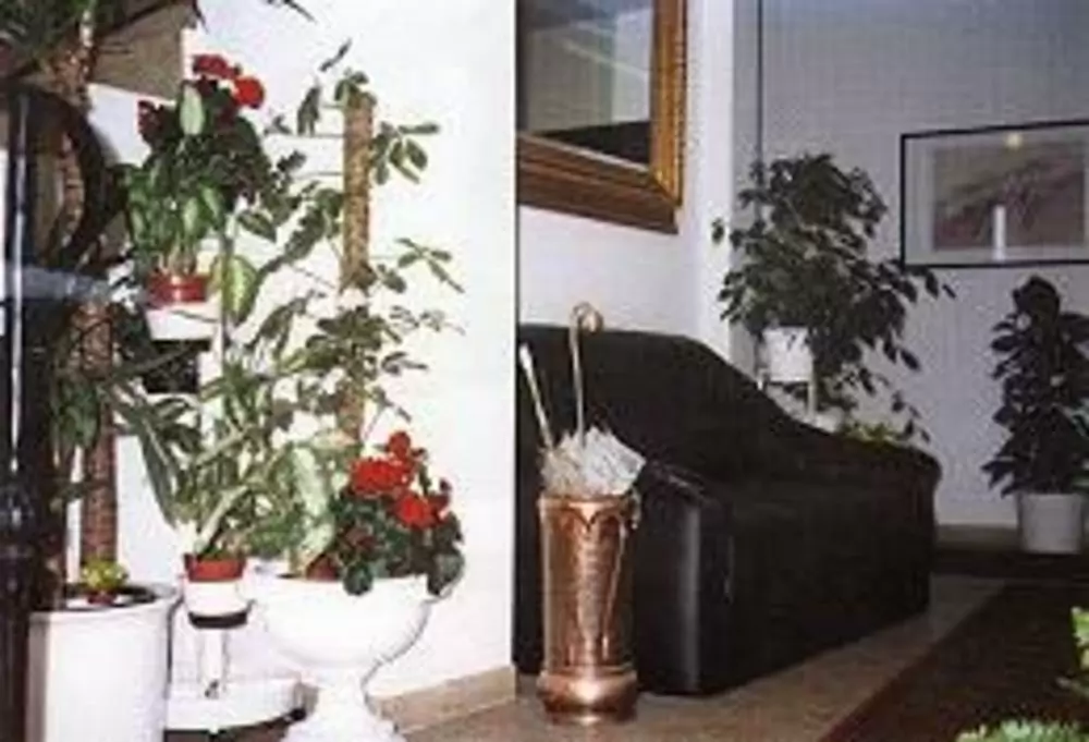 Monteur-Zimmer - Bruck an der Leitha - Pension Monteurzimmer Kronberger-Haus Oberlaa