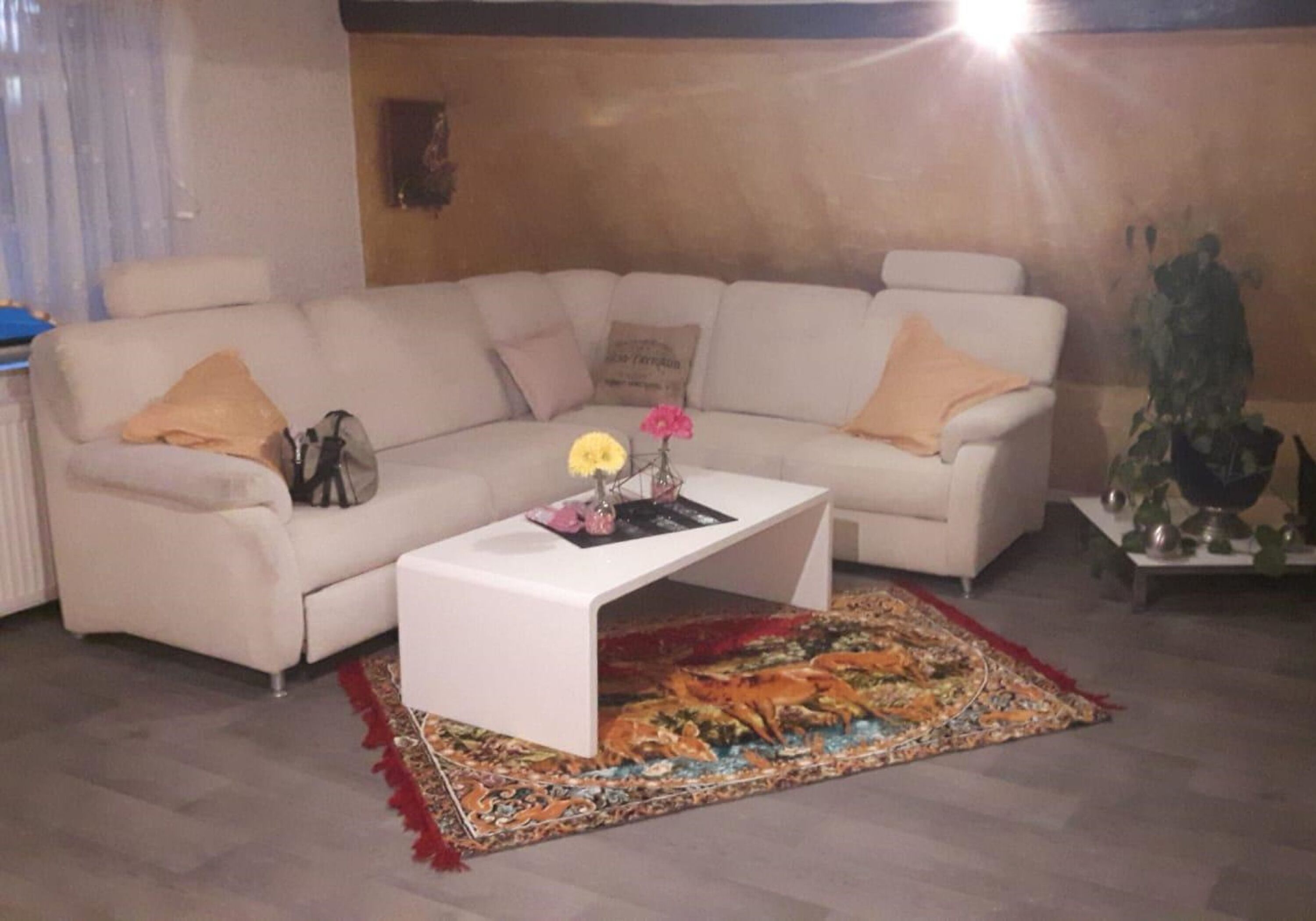 Monteur-Zimmer - Sachsen-Anhalt - https://images.monteurzimmer.de/kwwccd0yf2/xl/bb36706e-7bd7-48e9-a727-1b3c3885d207.jpg - Daniel's Monteurwohnung Ferienwohnung