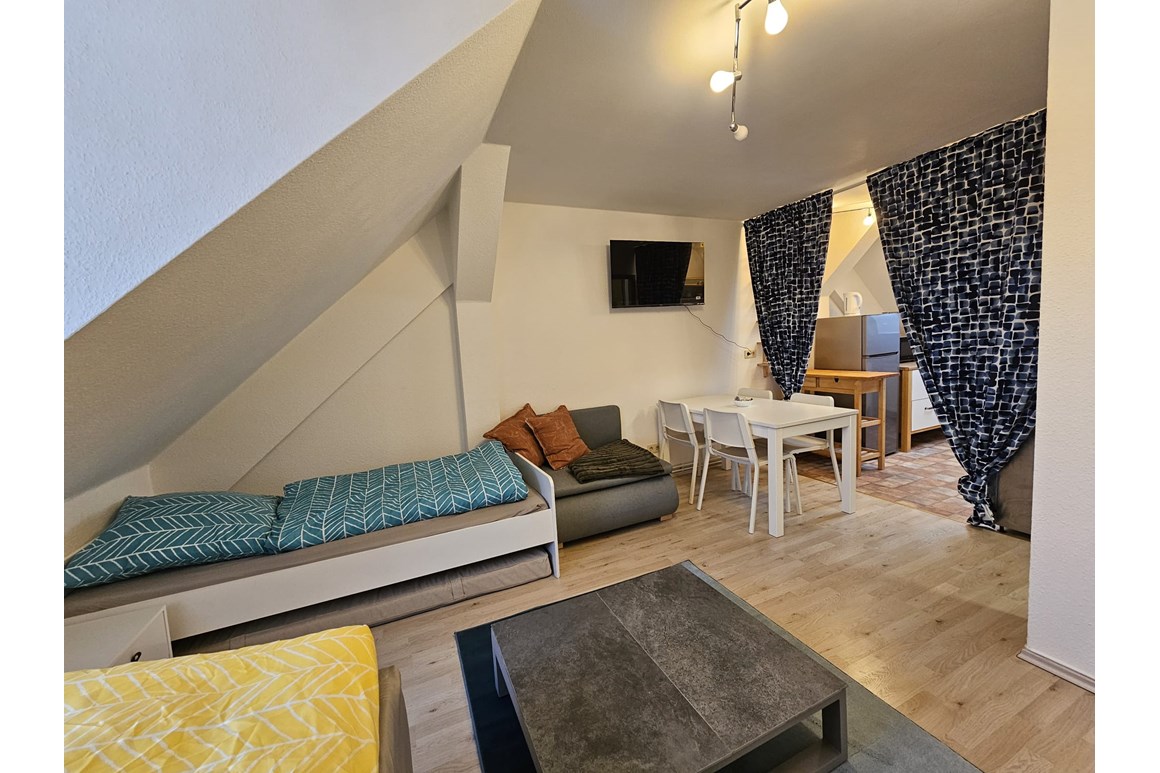 Monteur-Zimmer - Sachsen-Anhalt - https://monteur-zimmer.info/img/267356/monteurzimmer-monteurzimmer-ferienwohnung-stayinn-halle-saale-276290.jpg?h=773&w=1160 - Monteurzimmer| Ferienwohnung StayINN Halle (Saale)