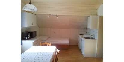 Monteur-Zimmer - Küche - Österreich - Wohnschlafraum mit kleiner Küche  - Haus Neumayer Ferienwohnungen