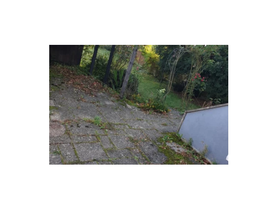 add-pic-alt here