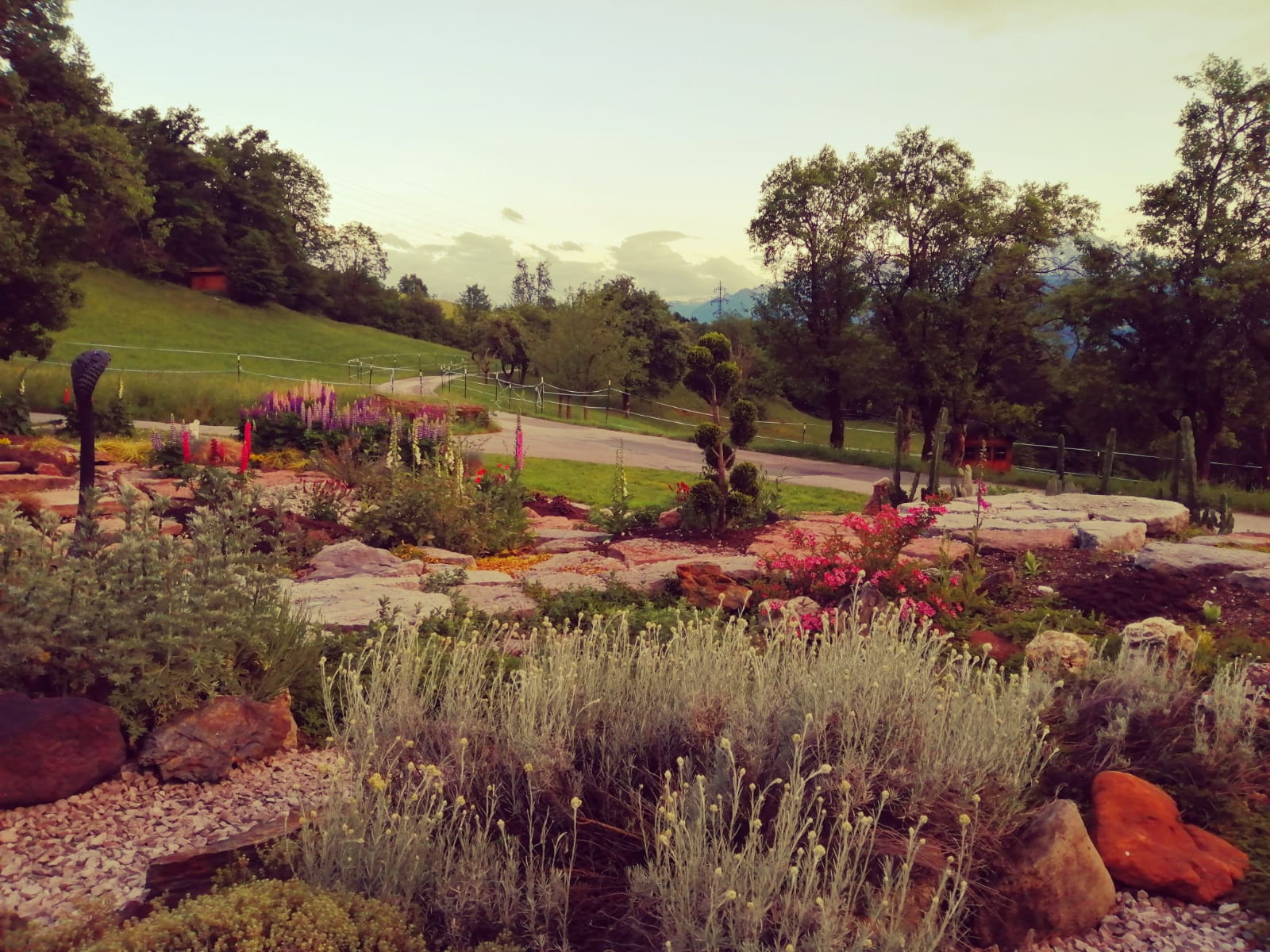 Monteur-Zimmer - Unterkunftsart: Gästehaus - Abtenau - Aussicht  - O'mas Hagenblick 
