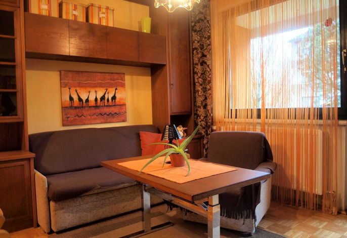 Monteur-Zimmer - Fernseher - Ried im Innkreis - Wohnung Angelika