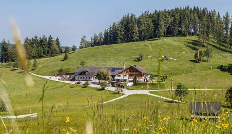 Monteur-Zimmer - Gallspach - Almgasthof Windlegern