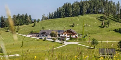 Monteur-Zimmer - Gallspach - Almgasthof Windlegern