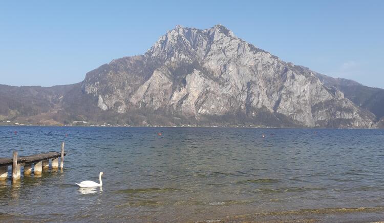 Monteur-Zimmer - Preis pro Nacht - Oberösterreich - Appartement Demelfischer