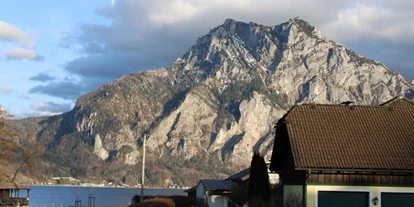 Monteur-Zimmer - Thalgau - Appartement Demelfischer