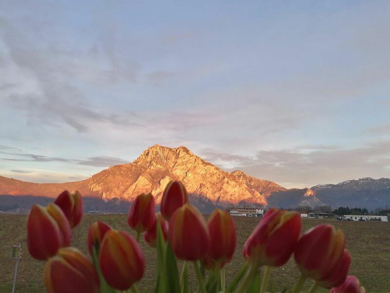 Monteur-Zimmer - Gallspach - Appartement Traunsteinblick