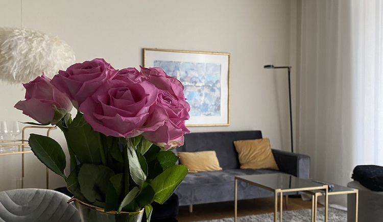 Monteur-Zimmer - Gallspach - Das Stadthouse