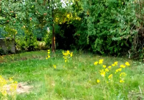 Monteur-Zimmer - Frechen - NT Dreamhouse, Düren