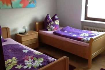 Monteur-Zimmer - Rheinland-Pfalz - Ferienwohnung am Langenberg