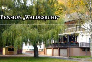 Monteur-Zimmer - Rheinland-Pfalz - Pension Waldesruhe
