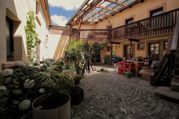 Monteur-Zimmer - Rheinland-Pfalz - Ferienwohnung Rolandseck