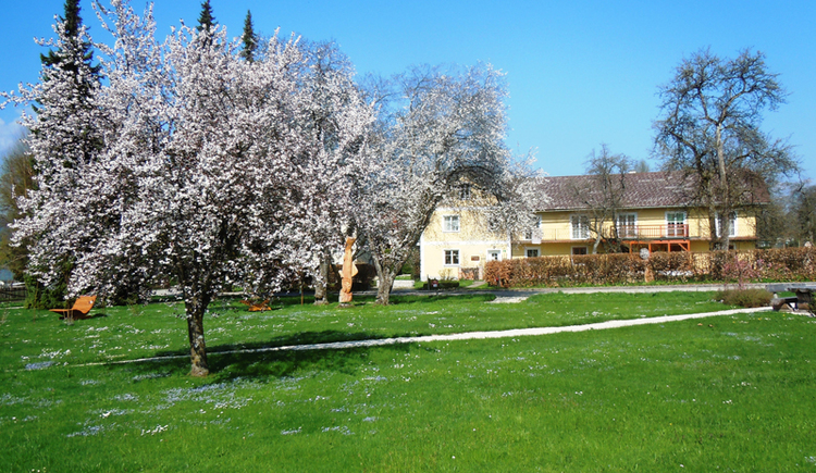 Monteur-Zimmer - Gallspach - Ferienwohnungen Huber