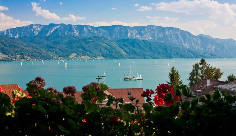 Monteur-Zimmer - Gallspach - Arnberger-Privathaus/Ferienwohnungen