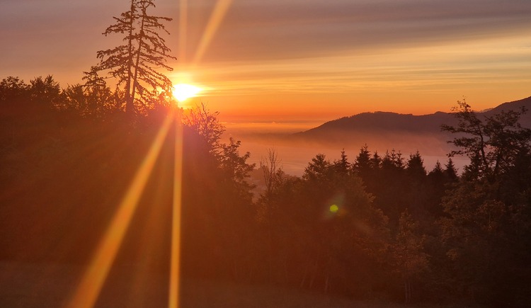 Monteur-Zimmer - Fernseher - Thalgau - Christina Hofer